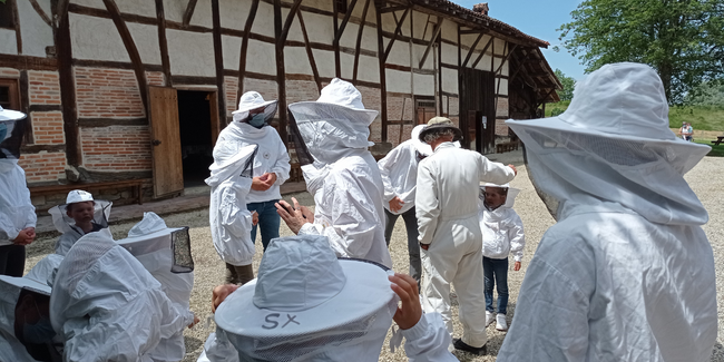 Atelier ruche pédagogique à l'Écomusée maison de Pays en Bresse Saint Etienne-du-Bois