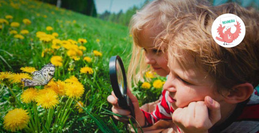 « Cherche la p'tite bête », atelier nature en famille, musée du Revermont près de Bourg-en-Bresse
