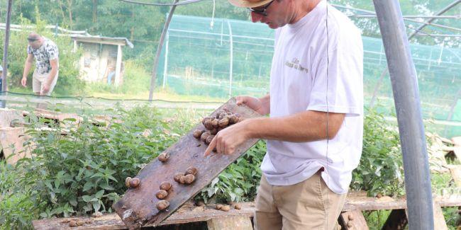 Parcours découverte à la ferme domaine de l’escargot avec les enfants près de Bourg-en-Bresse