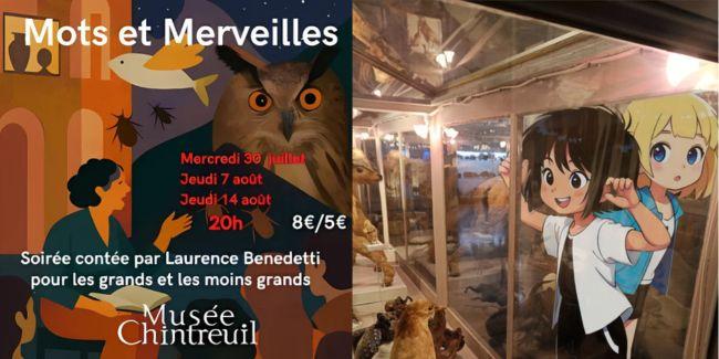 Par mots et merveilles – Soirées contées au Musée Chintreuil – Été 2025