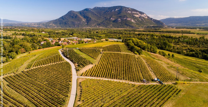 Le TOP des activités à faire en famille dans le Bugey | Kidiklik