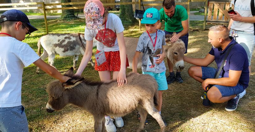 Enfants avec les animaux de la ferme pédagogique et à la nurserie au Domaine de la Dombes