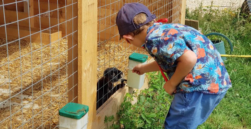 enfant avec un lapin à la ferme Découverte les 2 cocottes