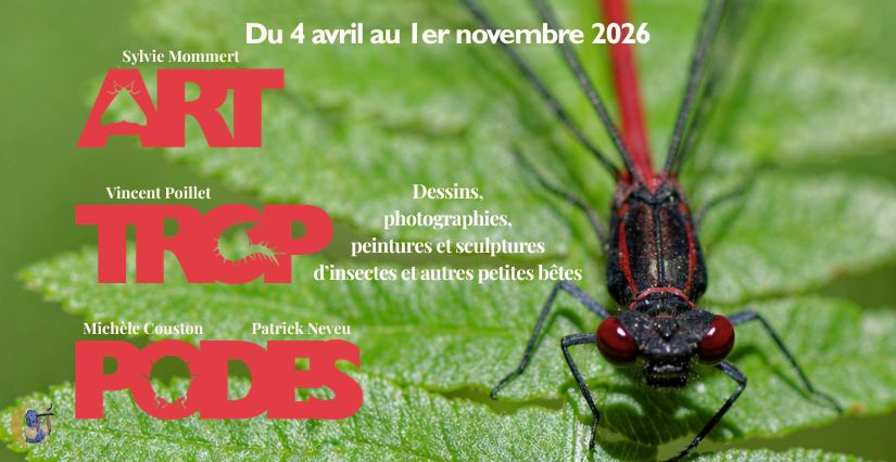 " Art Trop Podes" : Nouvelle exposition temporaire 2026 sur les petites bêtes