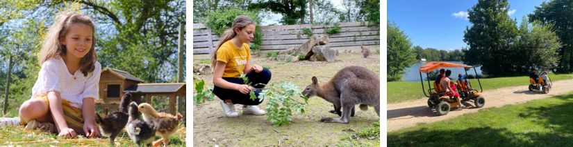 ferme pédagogique du domaine de la dombes : devenez soigneur d'un jour