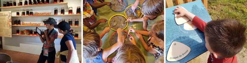 ferme de la foret de Courtes : ateliers et visites ludiques en famille 