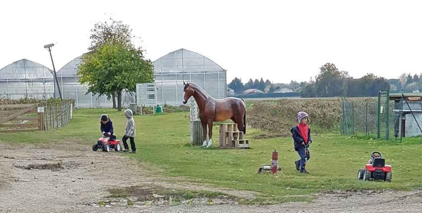 Fraisochamp, Cueillette de fruits et légumes en plein champ avec les enfants dans la Plaine de l'Ain