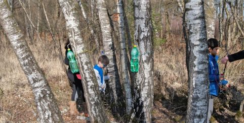 Le boulot et le bouleau, c’est bon pour la santé, atelier participatif en famille avec la Maison de l'Eau et de la Nature
