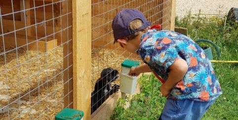 La Ferme Les 2 Cocottes rouvre ses portes ce week-end ! 