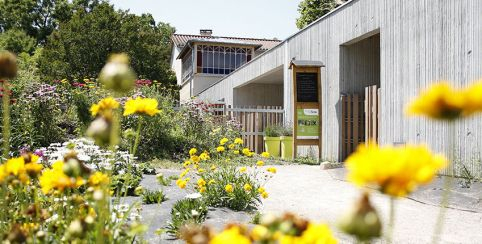 L'îloz' : balades découverte de l'environnement et ateliers enfants au Grand Parc Miribel Jonage