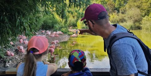 Parc des Oiseaux, parc animalier à visiter en famille à Villars-les-Dombes