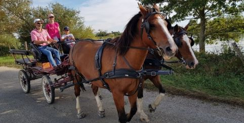 Promenade printanière avec Les Calèches Lyonnaises, près de Lyon