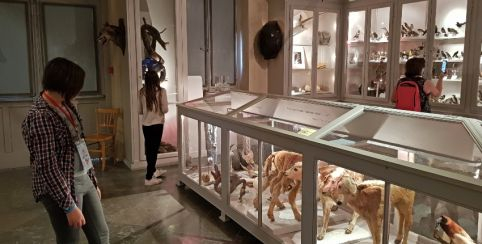 « Ceci n'est pas une visite » visite enquête en famille au Musée Chintreuil, Pont-de-Vaux