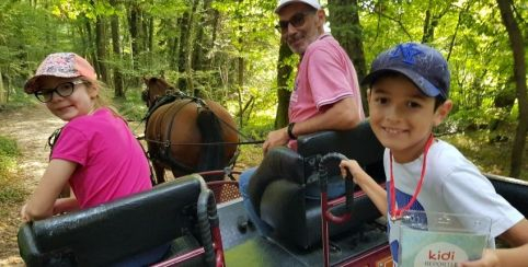 Profitez des ponts de mai pour vous balader avec les Calèches Lyonnaises, Montluel, Lyon et environs