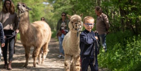 Balade en famille à la ferme pédagogique Les Lamas de Johnny près de Bourg-en-Bresse