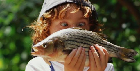 Activité pêche pour enfant avec la Maison de l'Eau et de la Nature de Pont-de-Vaux