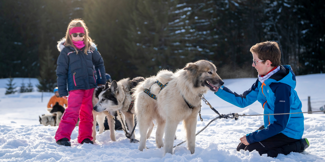 Qimmiq Aventure : Balades en chien de traîneaux en famille à Mijoux