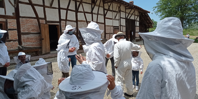 Atelier ruche pédagogique en famille à l'Ecomusée Maison de Pays en Bresse près de Bourg-en-Bresse