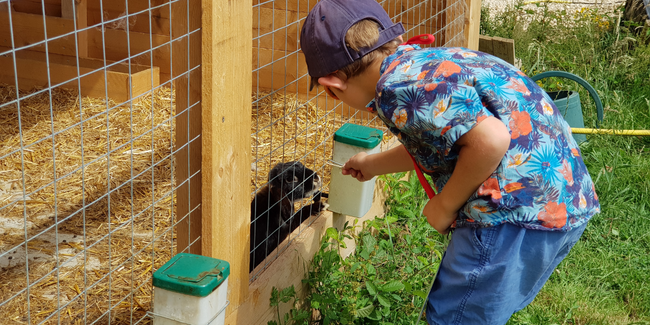 Ferme Les 2 cocottes : visites animalières et parc d'attractions, près de Bourg-en-Bresse