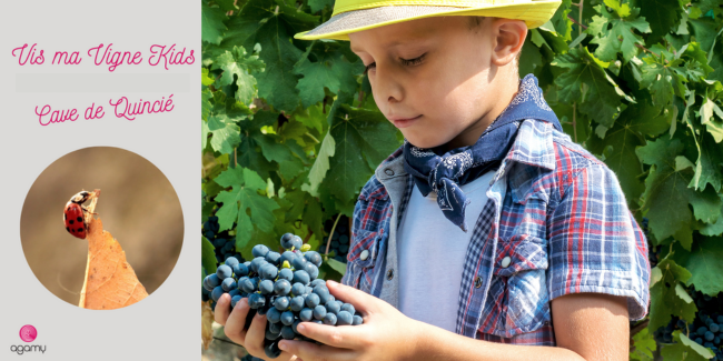 Vis ma Vigne Family : Atelier découverte des vendanges avec Agamy, près de Lyon