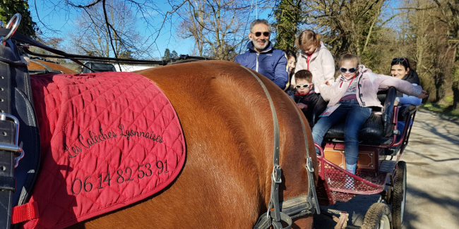 Les Calèches Lyonnaises : balade en calèche à Montluel, Lyon et environs