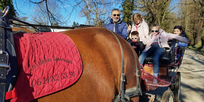 Les Calèches Lyonnaises, promenade en calèche en famille, Plaine de l'Ain, près de Lyon