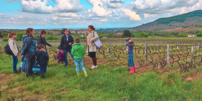 Vis ma Vigne Family : Une expérience immersive dans le Beaujolais pour les enfants