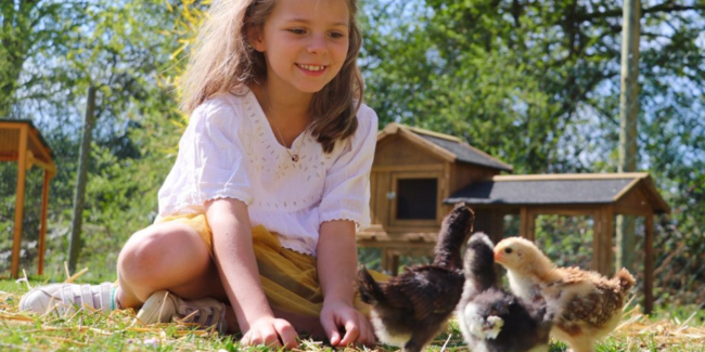 Découvrez les animaux avec les enfants au Domaine de la Dombes 