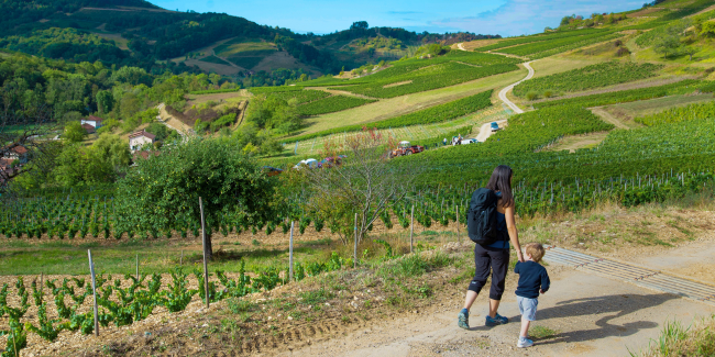 Balades et petites randonnées faciles dans les vignobles Bugey Cerdon 