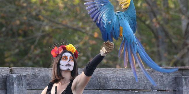 Halloween avec les enfants au Parc des Oiseaux