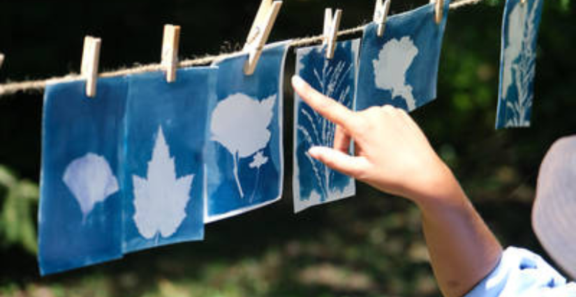 Atelier d'initiation au cyanotype, pour enfant à la ferme de la Forêt, près de Bourg-en-Bresse