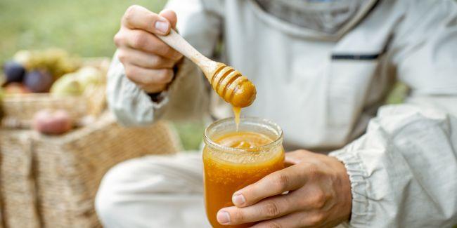 "Journée Miel" 2026 en famille au Château de Treffort - près de Bourg-en-Bresse