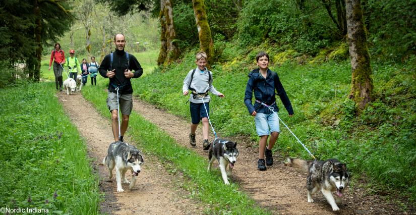 Cani-rando en famille avec Nordic Indiana, sur le Plateau d'Hauteville, Haut-Bugey