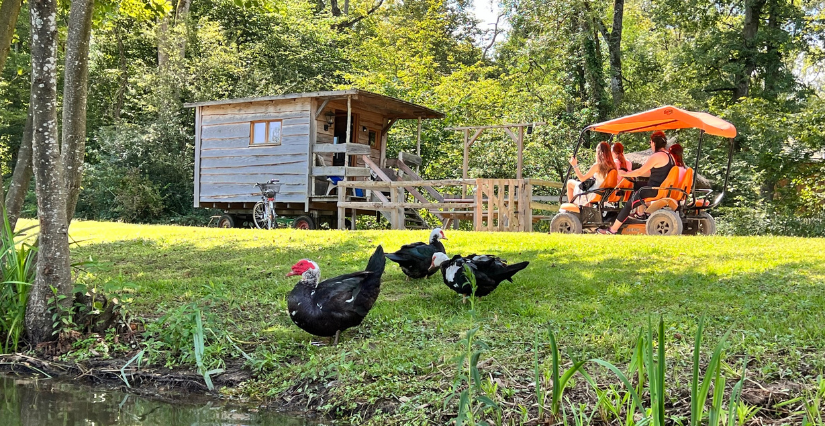 Camping nature 4* familial au Domaine de la Dombes à 15 minutes de Villars-les-Dombes