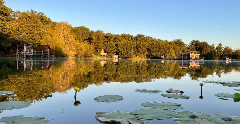 Profitez des belles couleurs d'automne pour faire le plein d'activités en famille au Domaine de la Dombes