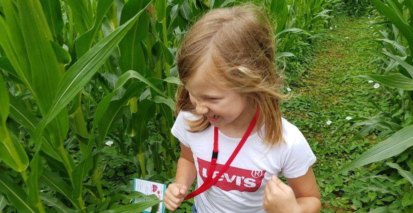 En septembre, profitez du labyrinthe de maïs en famille au Domaine des Saveurs - Les Planons !