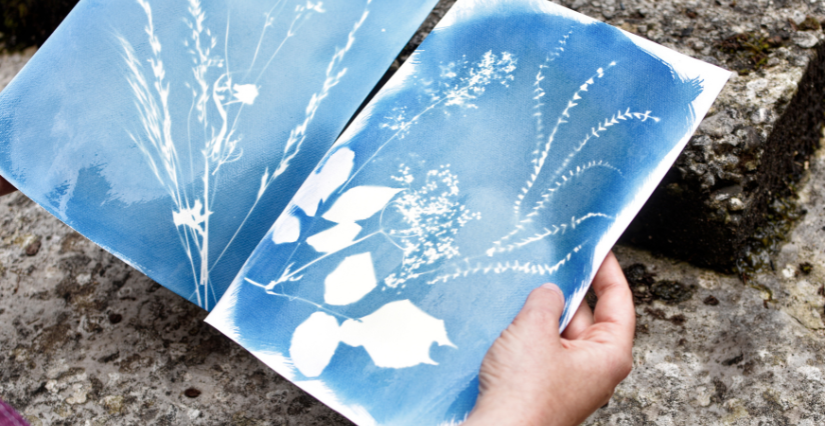 Atelier cyanotype "voyage au cœur du bleu" au Centre Culturel de Rencontre d'Ambronay 