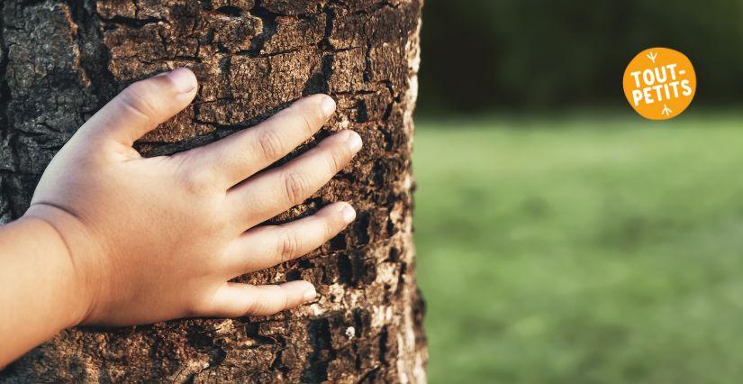 Lumières du Sous-bois : atelier sensoriel pour enfant au musée du Bugey-Valromey