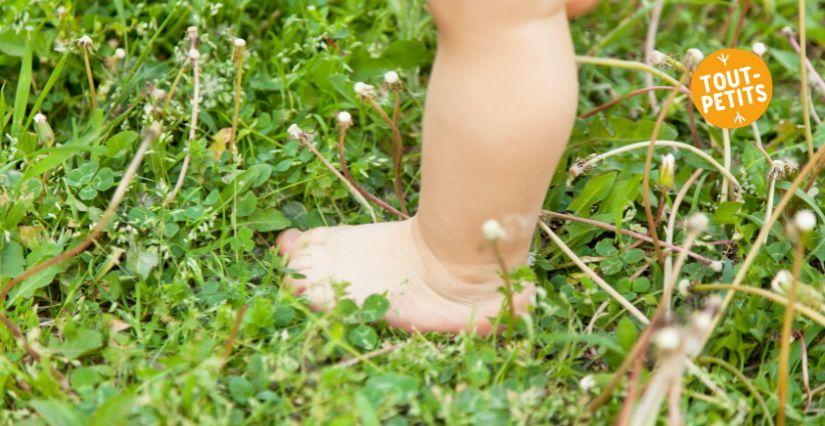  Mercredis d'été : “Jeunes pousses au jardin” parcours sensoriel pour les enfants au Musée du Revermont