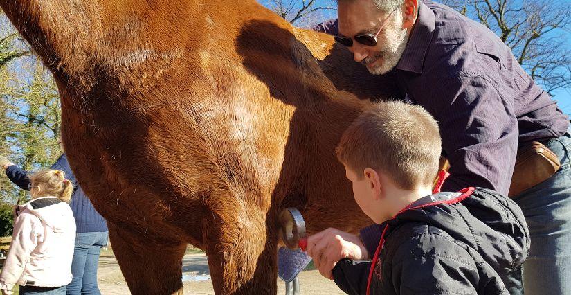 Balade en calèche près de Lyon avec Les Calèches Lyonnaises : une aventure familiale unique à Montluel