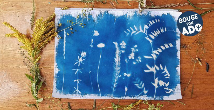 Mercredis d'été : atelier Cyanotype en famille au Musée du Revermont