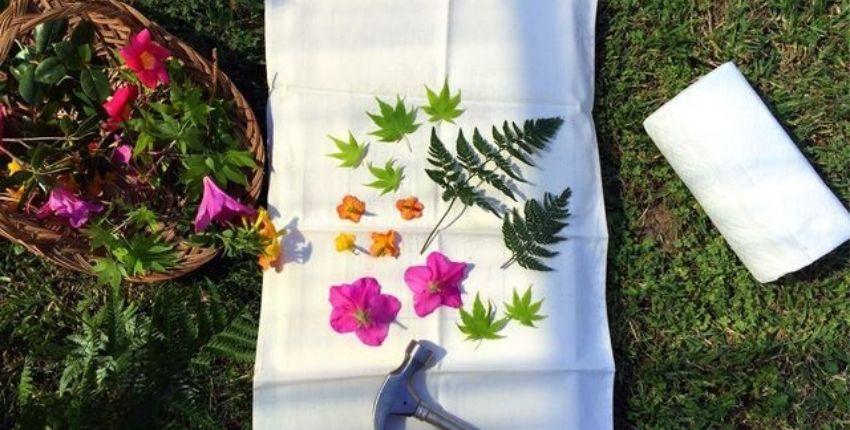 Atelier Tataki-Zomé : Impression végétale sur tissu à l'écomusée, près de Bourg-en-Bresse
