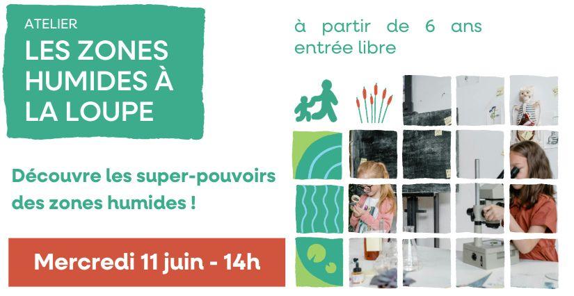 Atelier nature Les zones humides à la loupe pour enfant avec Ressouze et Affluents – Bourg-en-Bresse