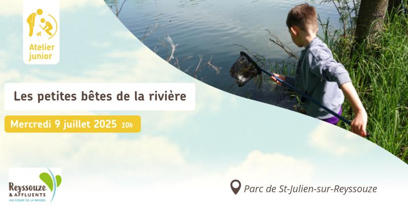 Atelier enfant Les petites bêtes de la rivière, animation nature avec Ressouze et Affluents, près de Bourg-en-Bresse