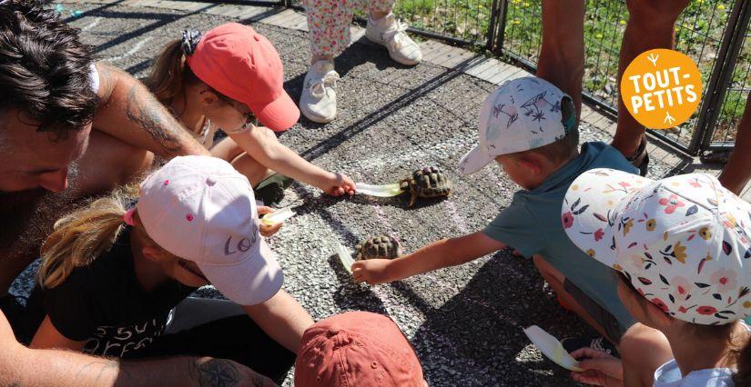 sortie famille pour les 3-8 ans : découverte des animaux près de Bourg-en-Bresse