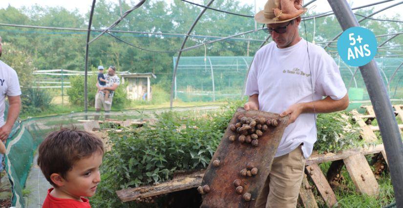 Visite à la ferme : découvrez les escargots gros gris en famille près de Bourg-en-Bresse