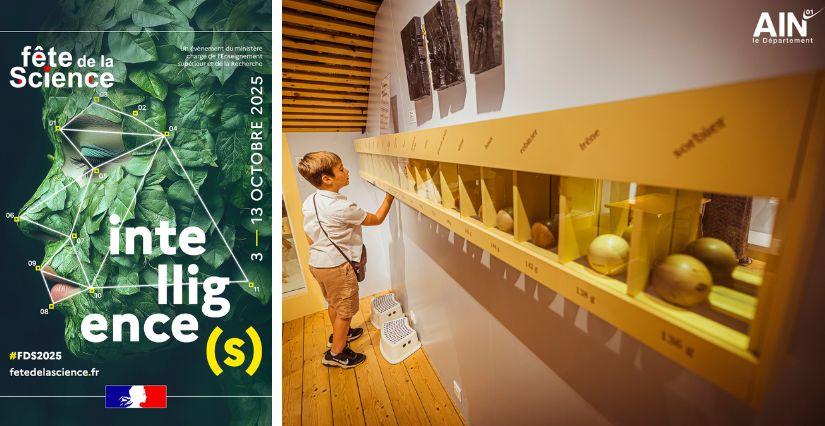 Fête de la science 2025 au Musée du Bugey-Valromey en famille