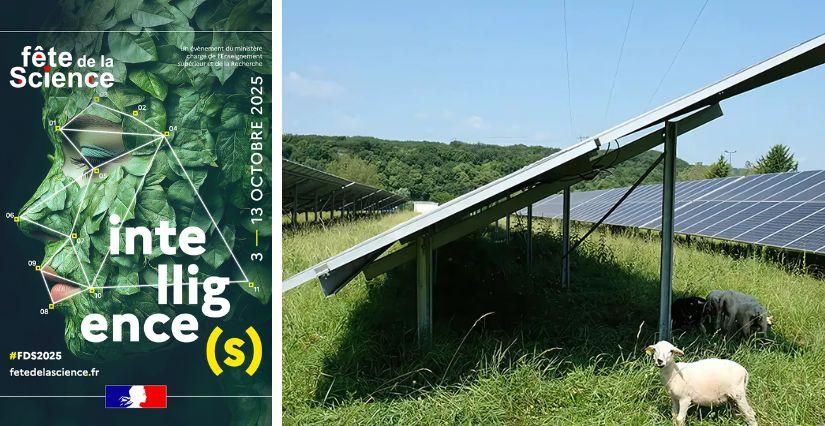 Fête de la science 2025 : Visite du Parc photovoltaïque CNR de Villebois dans l'Ain en famille