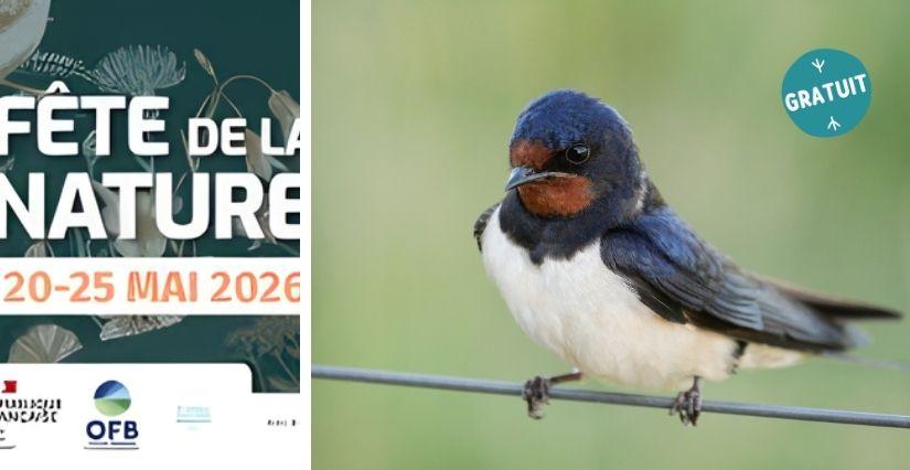 Fête de la nature 2026 : sortie et animations pour les familles à la Maison de l'Eau et de la Nature - Pont-de-Vaux