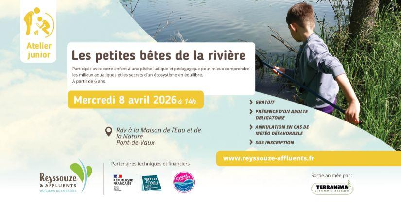 Les petites bêtes de la rivière : pêche ludique pour enfant avec Reyssouze et Affluents - Pont-de-Vaux 